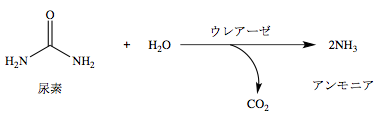 解説画像